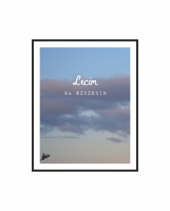 PLAKAT LECIM NA SZN